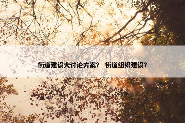 街道建设大讨论方案？ 街道组织建设？