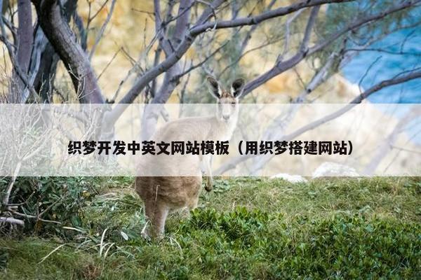 织梦开发中英文网站模板（用织梦搭建网站）