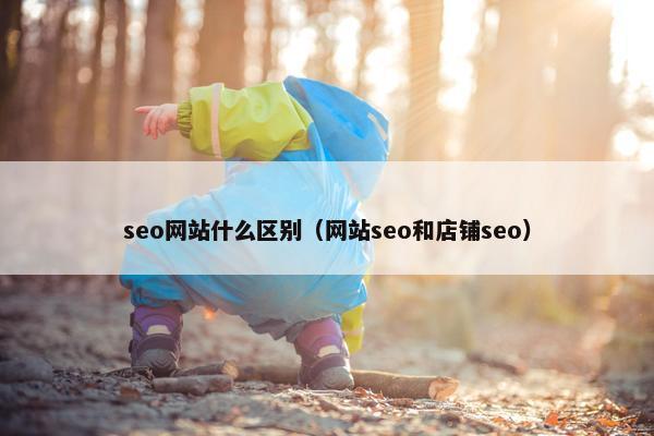 seo网站什么区别（网站seo和店铺seo）