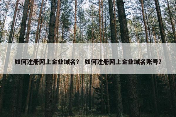 如何注册网上企业域名？ 如何注册网上企业域名账号？