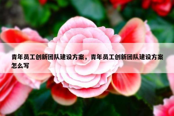青年员工创新团队建设方案，青年员工创新团队建设方案怎么写