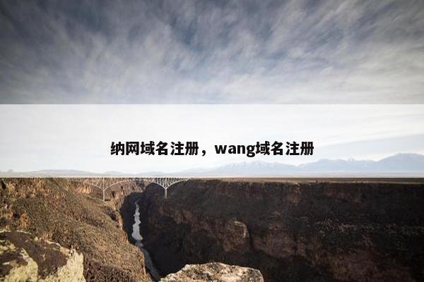纳网域名注册，wang域名注册