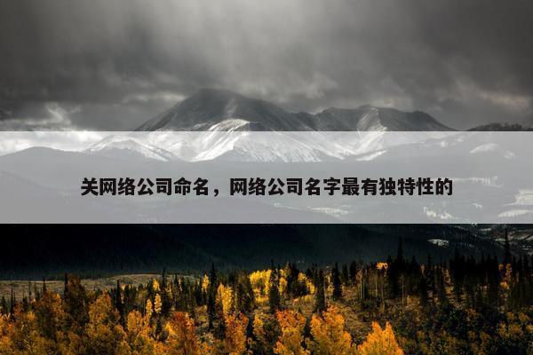 关网络公司命名，网络公司名字最有独特性的