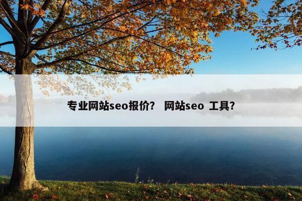 专业网站seo报价？ 网站seo 工具？