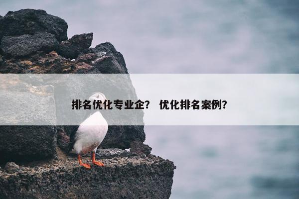排名优化专业企？ 优化排名案例？