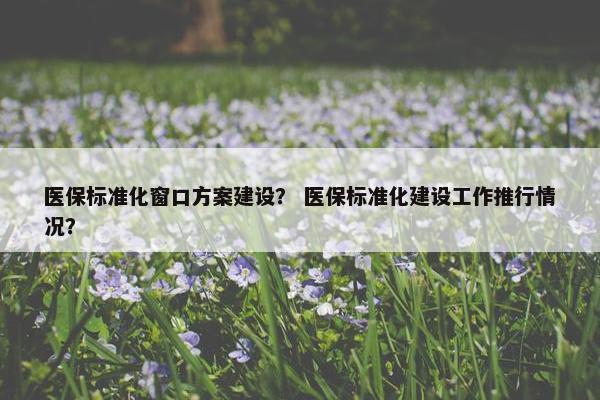 医保标准化窗口方案建设？ 医保标准化建设工作推行情况？