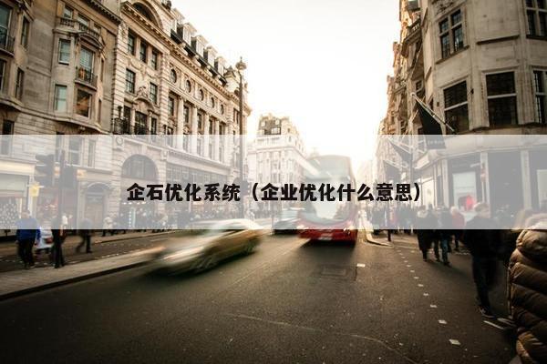 企石优化系统（企业优化什么意思）