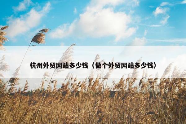 杭州外贸网站多少钱（做个外贸网站多少钱）