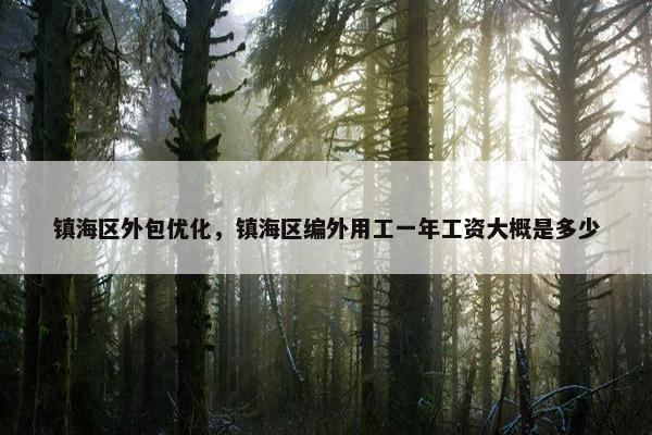 镇海区外包优化，镇海区编外用工一年工资大概是多少
