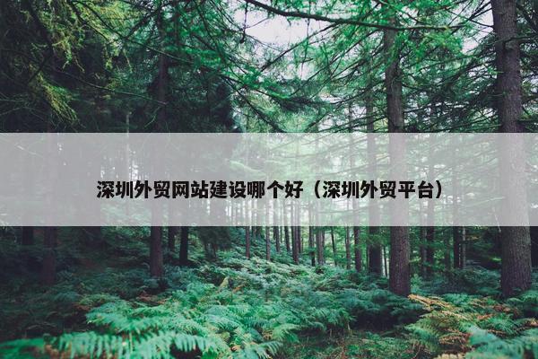 深圳外贸网站建设哪个好（深圳外贸平台）