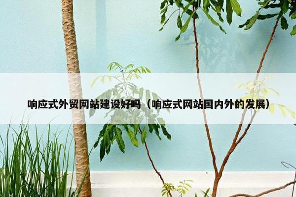 响应式外贸网站建设好吗（响应式网站国内外的发展）