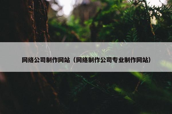 网络公司制作网站（网络制作公司专业制作网站）