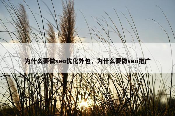 为什么要做seo优化外包，为什么要做seo推广