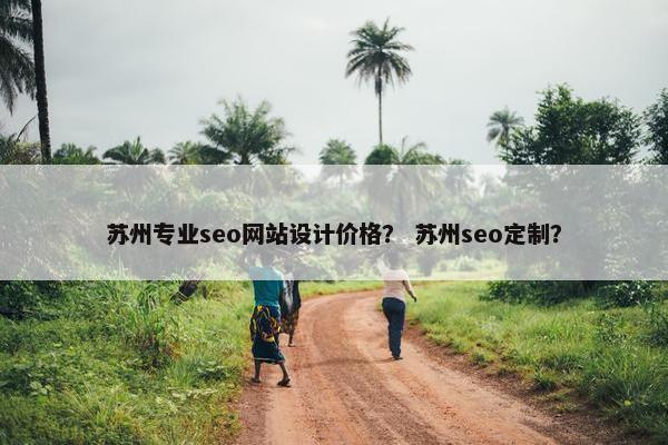 苏州专业seo网站设计价格？ 苏州seo定制？
