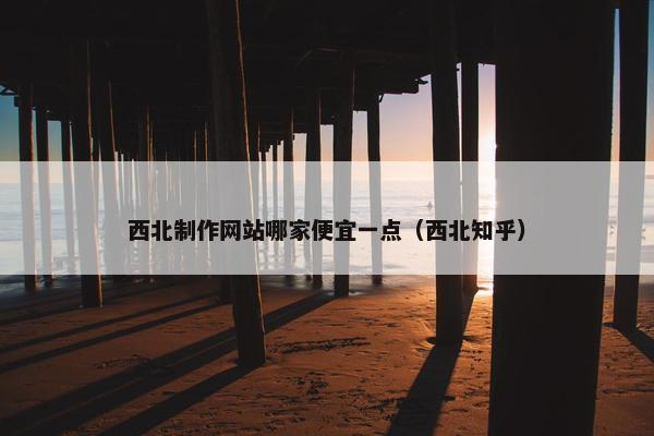 西北制作网站哪家便宜一点（西北知乎）
