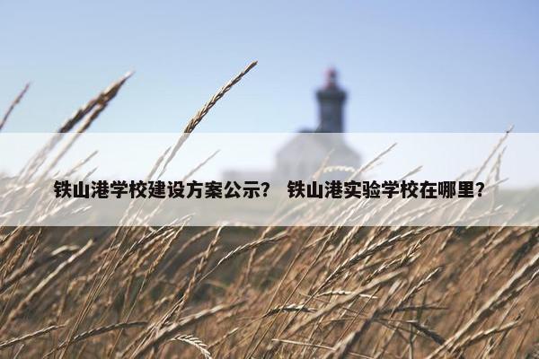 铁山港学校建设方案公示？ 铁山港实验学校在哪里？