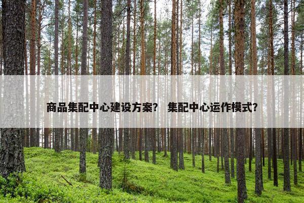 商品集配中心建设方案？ 集配中心运作模式？