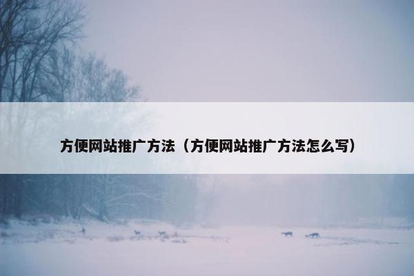 方便网站推广方法（方便网站推广方法怎么写）