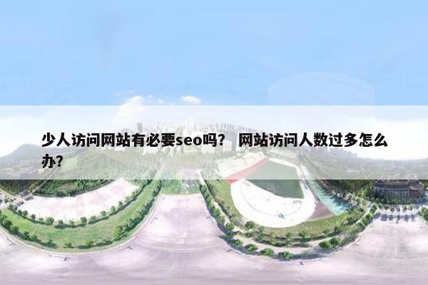 少人访问网站有必要seo吗？ 网站访问人数过多怎么办？