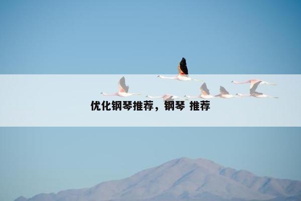 优化钢琴推荐，钢琴 推荐