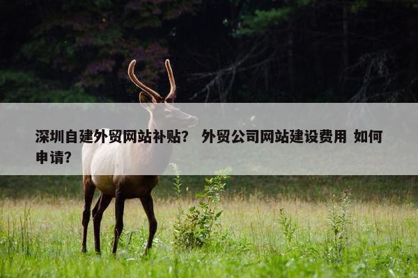 深圳自建外贸网站补贴？ 外贸公司网站建设费用 如何申请？