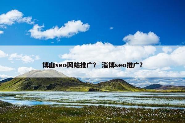 博山seo网站推广？ 淄博seo推广？