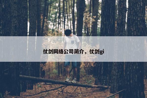 仗剑网络公司简介，仗剑gi