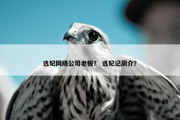 选妃网络公司老板？ 选妃记简介？