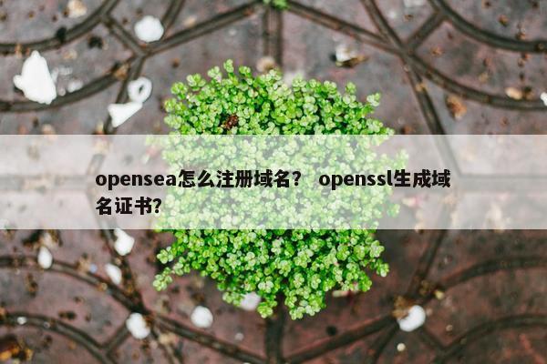 opensea怎么注册域名？ openssl生成域名证书？