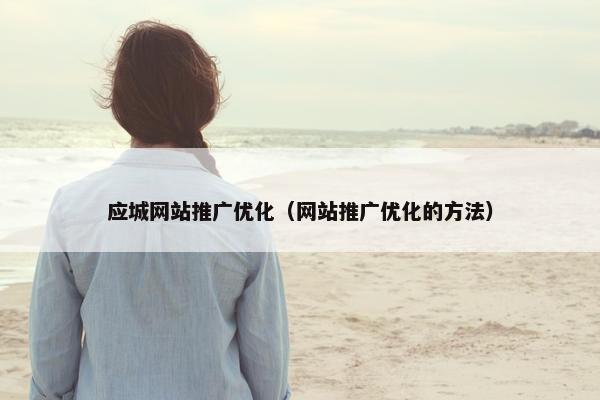 应城网站推广优化（网站推广优化的方法）