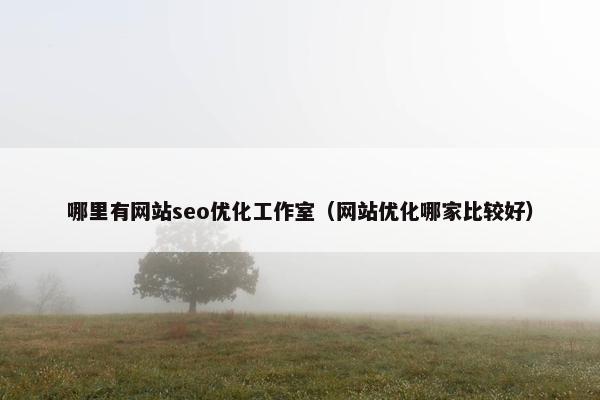 哪里有网站seo优化工作室（网站优化哪家比较好）