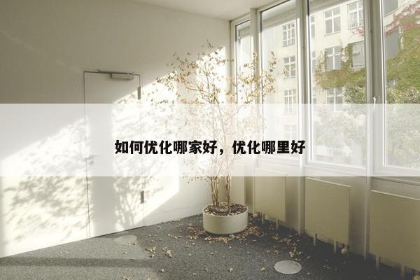 如何优化哪家好，优化哪里好