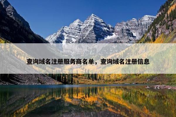 查询域名注册服务商名单，查询域名注册信息