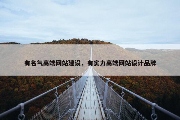 有名气高端网站建设，有实力高端网站设计品牌