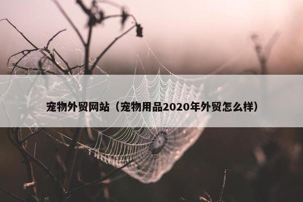 宠物外贸网站（宠物用品2020年外贸怎么样）