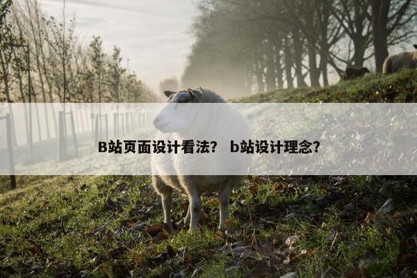B站页面设计看法？ b站设计理念？