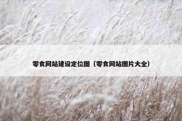 零食网站建设定位图（零食网站图片大全）