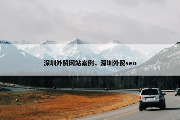 深圳外贸网站案例，深圳外贸seo