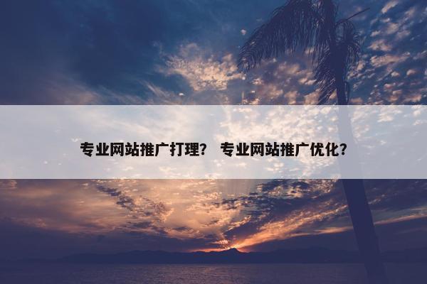 专业网站推广打理？ 专业网站推广优化？