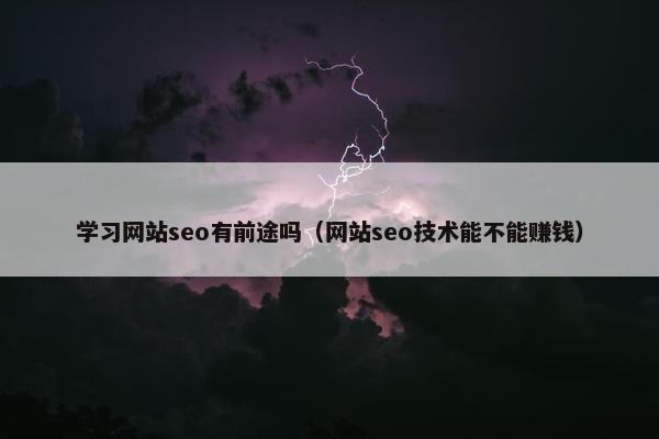学习网站seo有前途吗（网站seo技术能不能赚钱）