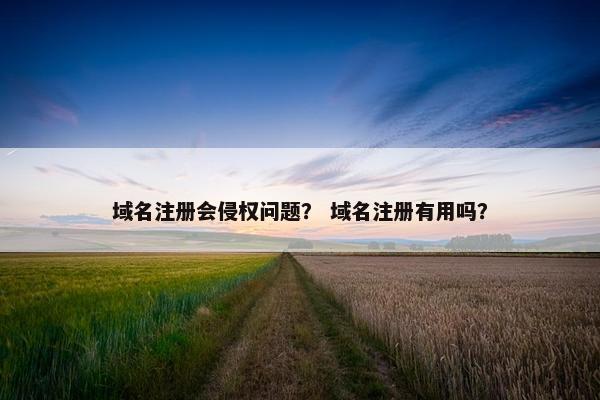 域名注册会侵权问题？ 域名注册有用吗？