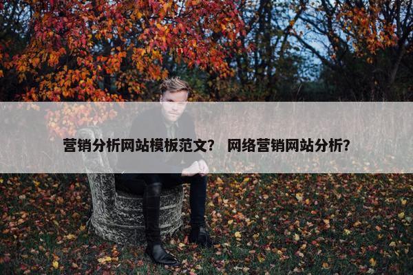 营销分析网站模板范文？ 网络营销网站分析？