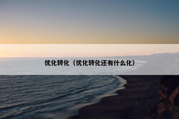 优化转化（优化转化还有什么化）