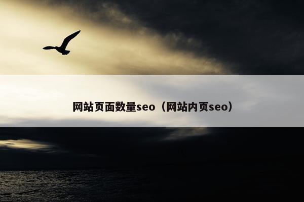 网站页面数量seo（网站内页seo）
