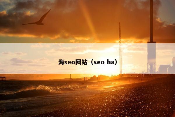 海seo网站（seo ha）