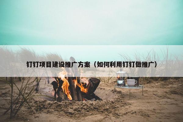 钉钉项目建设推广方案（如何利用钉钉做推广）