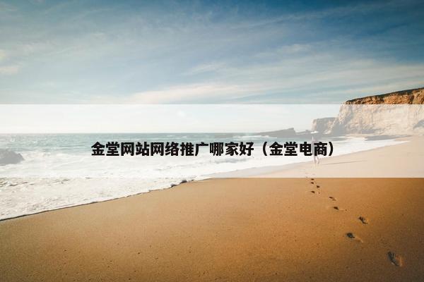 金堂网站网络推广哪家好（金堂电商）