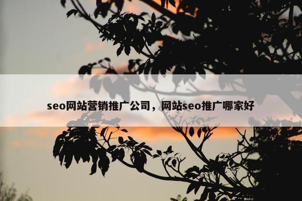 seo网站营销推广公司，网站seo推广哪家好