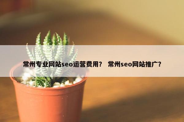 常州专业网站seo运营费用？ 常州seo网站推广？