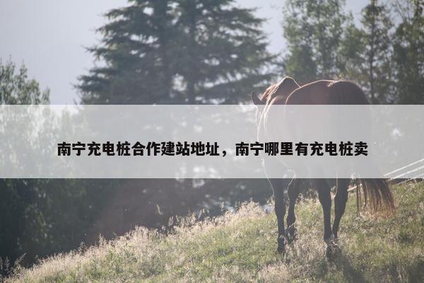 南宁充电桩合作建站地址，南宁哪里有充电桩卖